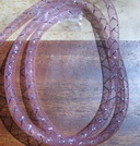 streamer body D 9 pink